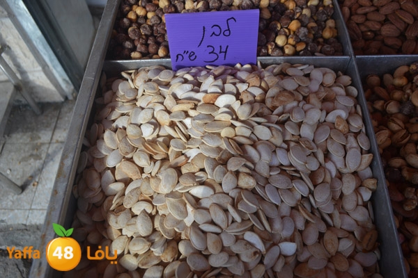 mokasaratshadyjamal (11).JPG